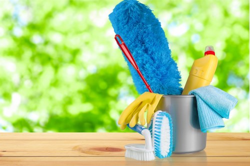 Professional upholstery cleaning in a Maida Vale living room