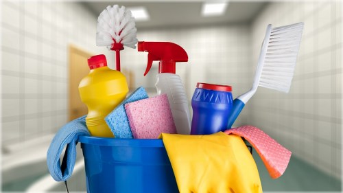 Carpet cleaner preparing equipment safely in a Maida Vale home