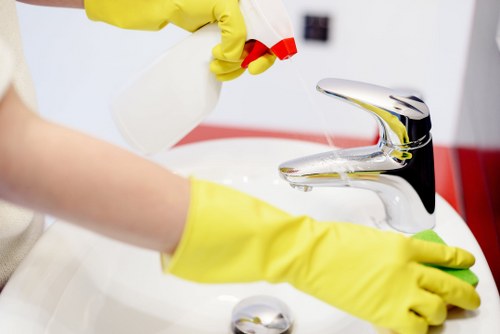 Professional pet stain odour removal in a Maida Vale living room