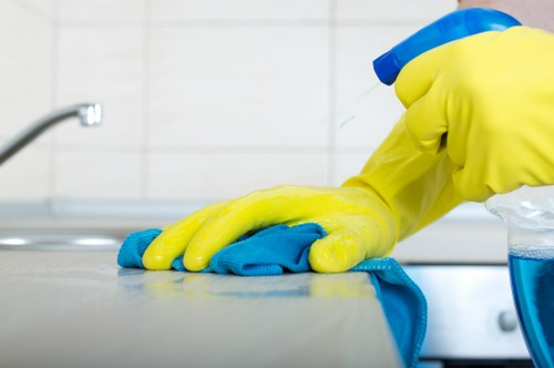Carpet cleaning service terms and conditions introduction
