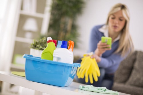Fresh and clean pet-friendly home after stain odour removal in Maida Vale